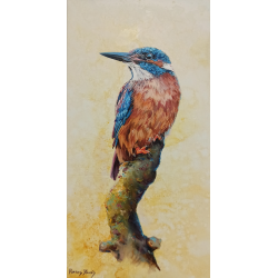 Kingfisher II 35x55